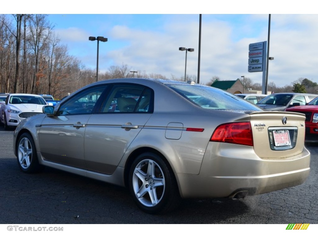 2005 TL 3.2 - Desert Mist Metallic / Camel photo #38