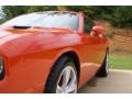2009 HEMI Orange Dodge Challenger SRT8  photo #13
