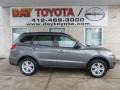 Harbor Gray Metallic 2010 Hyundai Santa Fe GLS 4WD