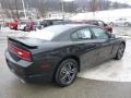 Pitch Black - Charger SXT Plus AWD Photo No. 5