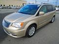 Cashmere Pearl 2013 Chrysler Town & Country Touring Exterior
