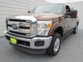 Golden Bronze Metallic - F250 Super Duty XLT Crew Cab 4x4 Photo No. 6