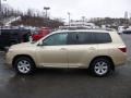 Sandy Beach Metallic - Highlander V6 4WD Photo No. 4
