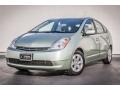 Silver Pine Mica - Prius Hybrid Photo No. 13