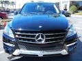 Black - ML 350 4Matic Photo No. 2