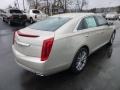 Silver Coast Metallic - XTS Luxury FWD Photo No. 7