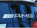  2010 C 63 AMG Logo