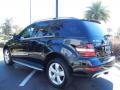 Black - ML 350 Photo No. 5