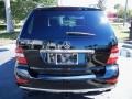 Black - ML 350 Photo No. 6