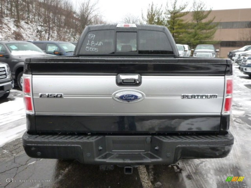 2013 Ford F150 Platinum SuperCrew 4x4 Marks and Logos Photo #77052996