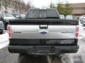 2013 Ford F150 Platinum SuperCrew 4x4 Marks and Logos