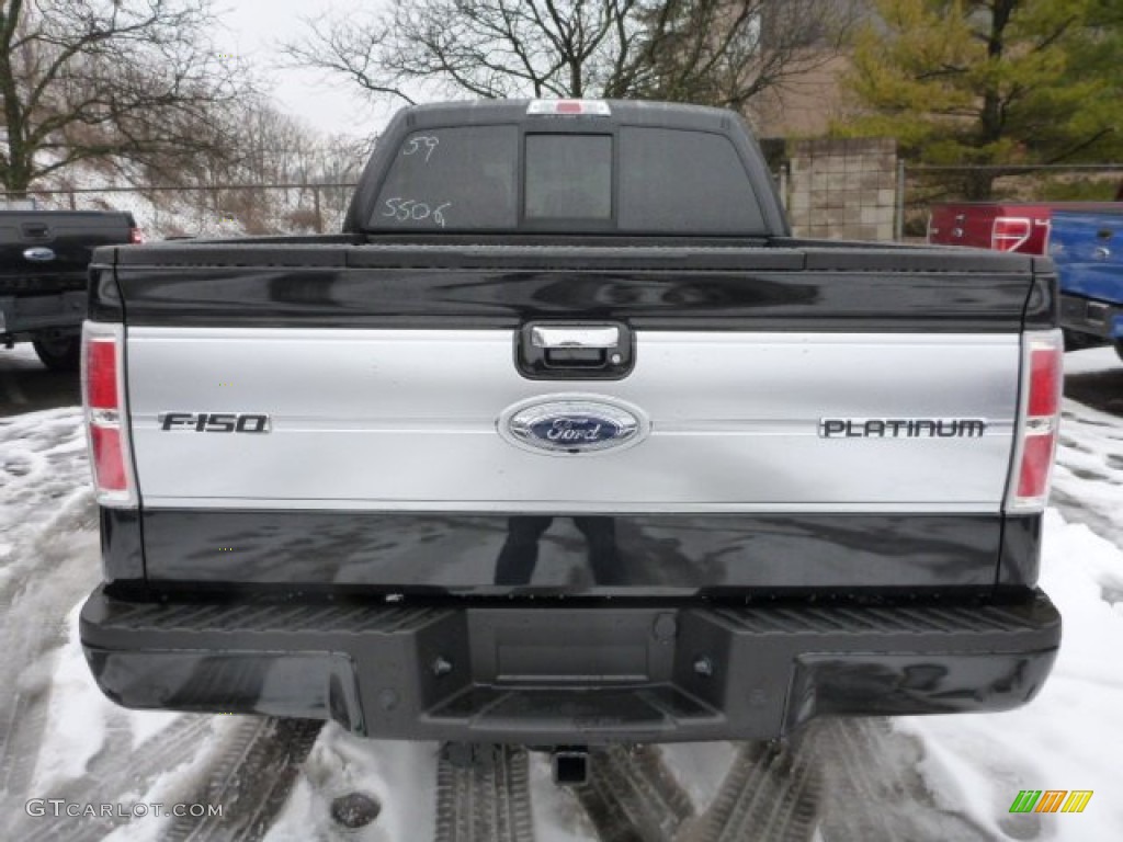 2013 Ford F150 Platinum SuperCrew 4x4 Marks and Logos Photo #77053297