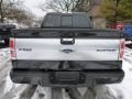 2013 Ford F150 Platinum SuperCrew 4x4 Marks and Logos