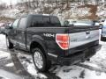 Tuxedo Black Metallic - F150 Platinum SuperCrew 4x4 Photo No. 4