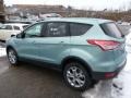 2013 Frosted Glass Metallic Ford Escape SEL 2.0L EcoBoost 4WD  photo #4