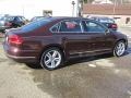 Opera Red Metallic - Passat TDI SEL Photo No. 9