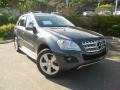 Steel Grey Metallic - ML 350 Photo No. 1