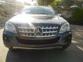 Steel Grey Metallic - ML 350 Photo No. 2