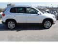 Reflex Silver Metallic - Tiguan SE Photo No. 8