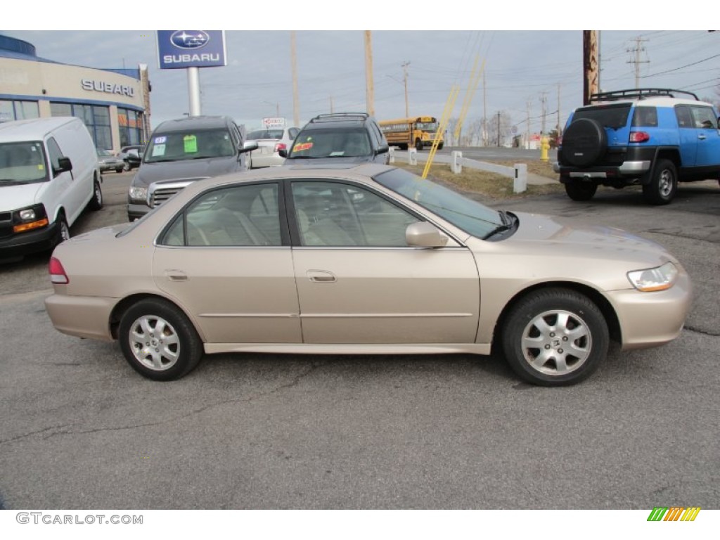 2002 Accord EX Sedan - Naples Gold Metallic / Ivory photo #4