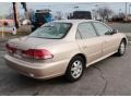 Naples Gold Metallic - Accord EX Sedan Photo No. 6