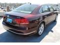 Opera Red Metallic - Passat TDI SEL Photo No. 7