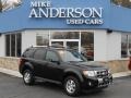 Black 2010 Ford Escape Limited 4WD