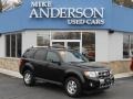 2010 Black Ford Escape Limited 4WD  photo #1