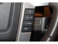 Sienna Brown Leather/Black Controls Photo for 2009 Ford F150 #77084525