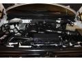 5.4 Liter SOHC 24-Valve VVT Triton V8 2009 Ford F150 Platinum SuperCrew 4x4 Engine