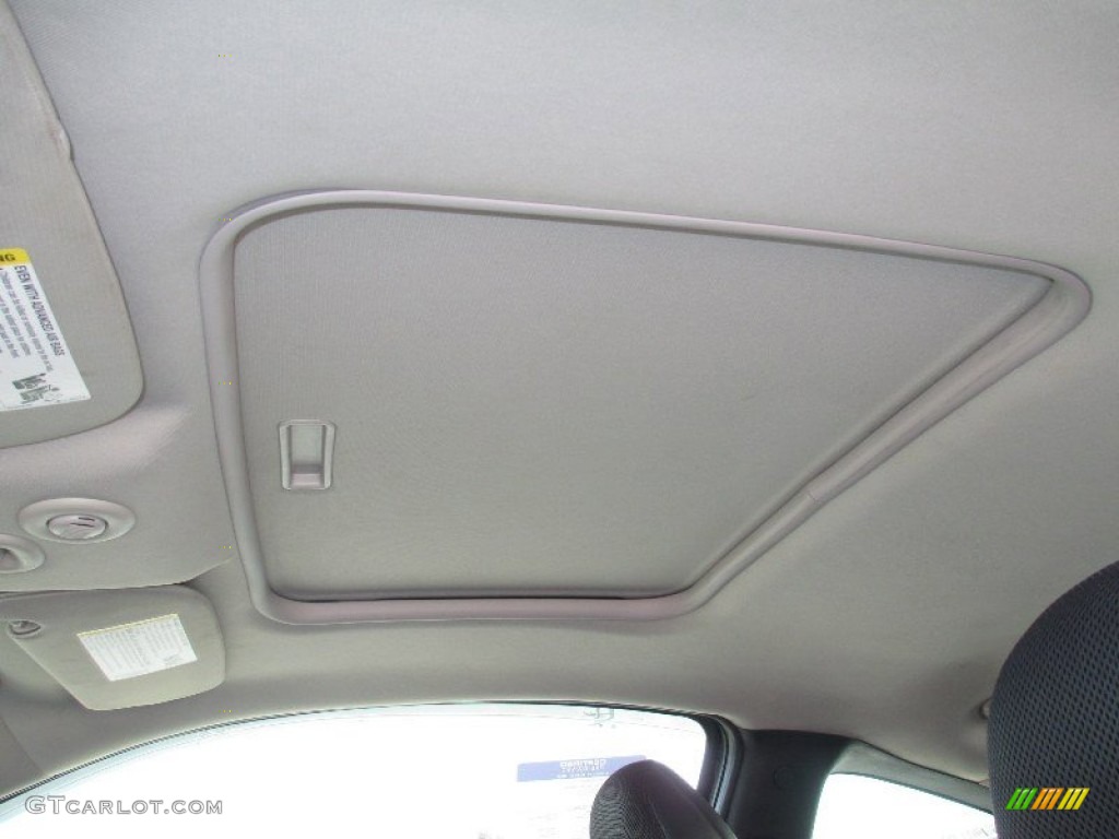 2010 Chevrolet Cobalt SS Coupe Sunroof Photo #77085886