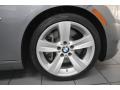 2010 Space Gray Metallic BMW 3 Series 335i Coupe  photo #9