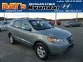 Platinum Sage 2007 Hyundai Santa Fe GLS 4WD