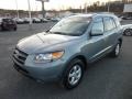 Platinum Sage - Santa Fe GLS 4WD Photo No. 3