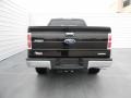 2013 Kodiak Brown Metallic Ford F150 XLT SuperCrew 4x4  photo #4