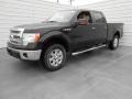 2013 Kodiak Brown Metallic Ford F150 XLT SuperCrew 4x4  photo #9