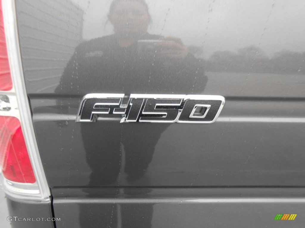 2013 F150 Lariat SuperCrew - Sterling Gray Metallic / Black photo #5