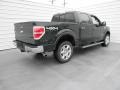 2013 Green Gem Metallic Ford F150 Lariat SuperCrew 4x4  photo #3