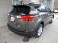 Pyrite Mica - RAV4 XLE AWD Photo No. 2