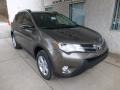 Pyrite Mica 2013 Toyota RAV4 XLE AWD Exterior