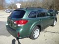Cypress Green Pearl - Outback 2.5i Premium Photo No. 7