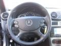 Tobacco Brown Steering Wheel Photo for 2009 Mercedes-Benz CLK #77111315