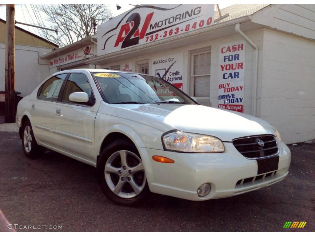 2001 Maxima GLE - Icelandic White Pearl / Frost photo #1