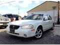 Icelandic White Pearl - Maxima GLE Photo No. 3