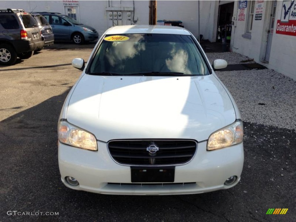 2001 Maxima GLE - Icelandic White Pearl / Frost photo #7