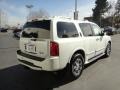 Tuscan Pearl - QX 56 4WD Photo No. 5