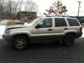 Light Pewter Metallic 2003 Jeep Grand Cherokee Laredo 4x4