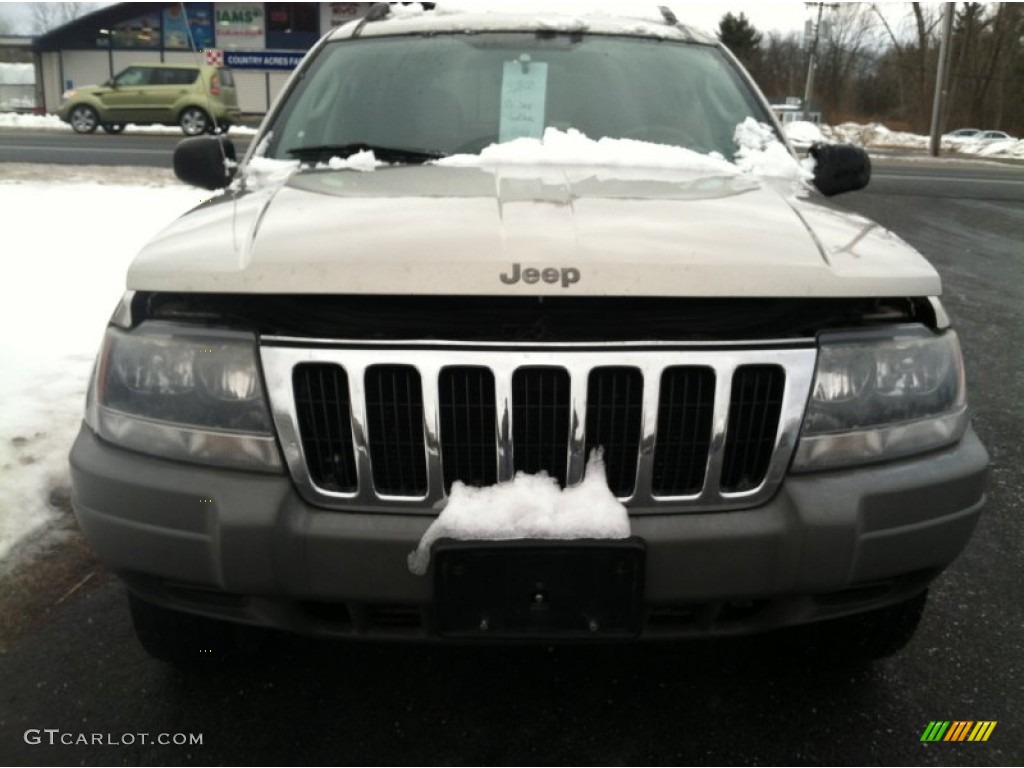 2003 Grand Cherokee Laredo 4x4 - Light Pewter Metallic / Dark Slate Gray photo #3