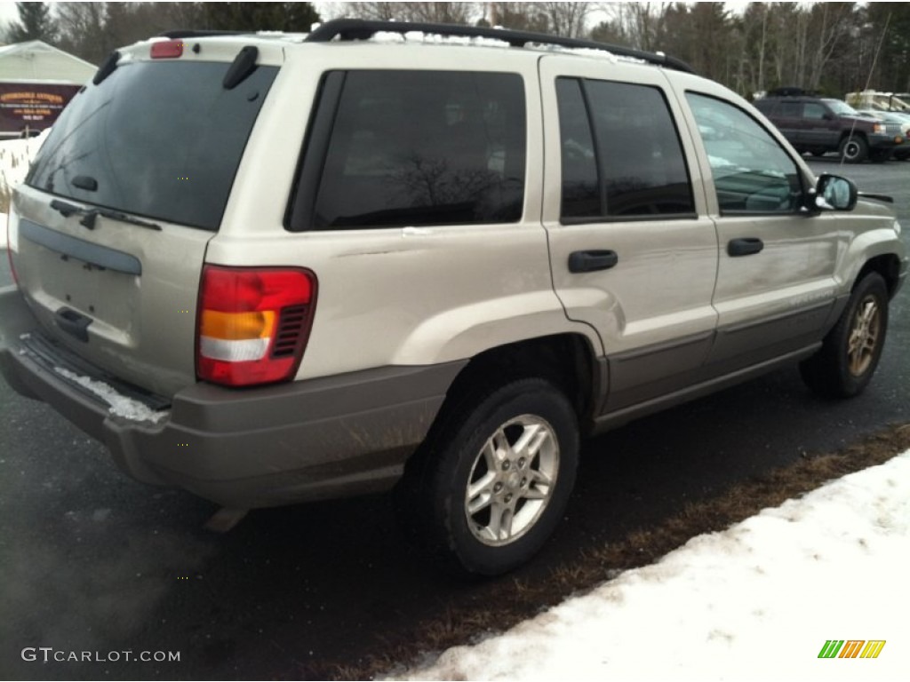 2003 Grand Cherokee Laredo 4x4 - Light Pewter Metallic / Dark Slate Gray photo #5