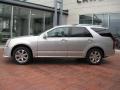 Light Platinum - SRX 4 V6 AWD Photo No. 2